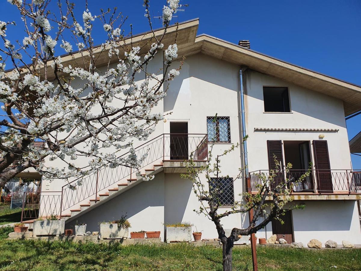 Casa Ciuffina Bed & Breakfast Civitella Casanova ภายนอก รูปภาพ