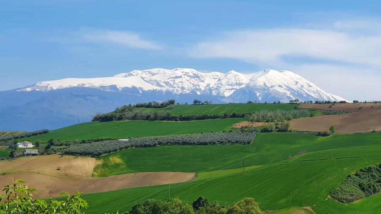Casa Ciuffina Bed & Breakfast Civitella Casanova ภายนอก รูปภาพ