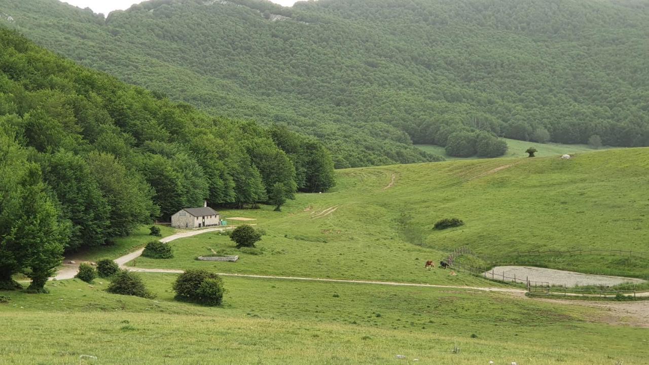 Casa Ciuffina Bed & Breakfast Civitella Casanova ภายนอก รูปภาพ